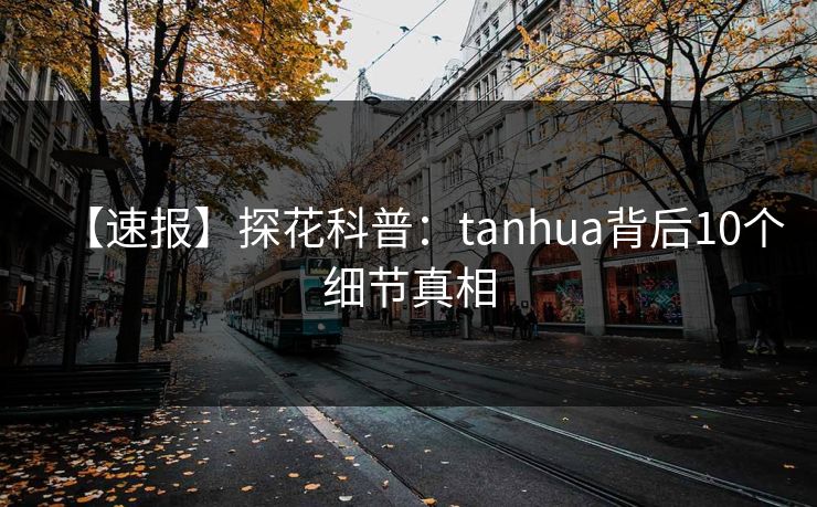 【速报】探花科普：tanhua背后10个细节真相