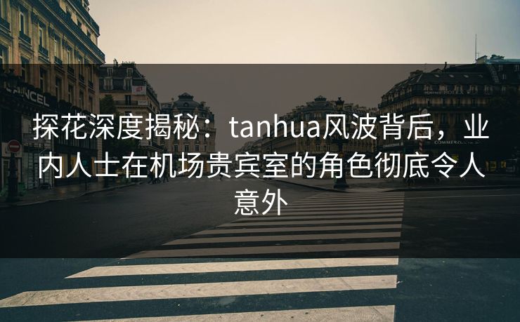 探花深度揭秘：tanhua风波背后，业内人士在机场贵宾室的角色彻底令人意外