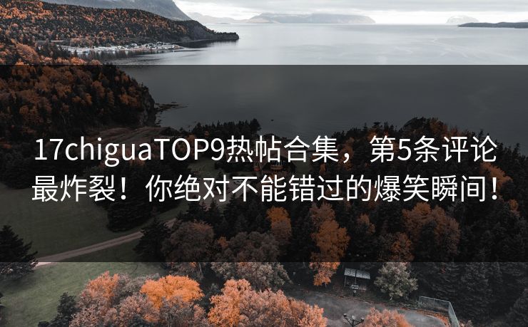 17chiguaTOP9热帖合集，第5条评论最炸裂！你绝对不能错过的爆笑瞬间！
