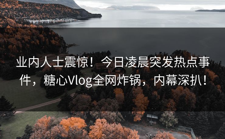业内人士震惊！今日凌晨突发热点事件，糖心Vlog全网炸锅，内幕深扒！