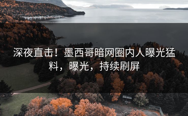 深夜直击！墨西哥暗网圈内人曝光猛料，曝光，持续刷屏